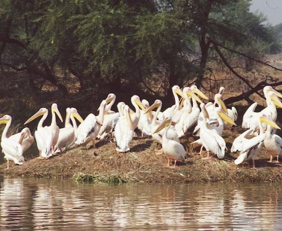 Madhya Pradesh